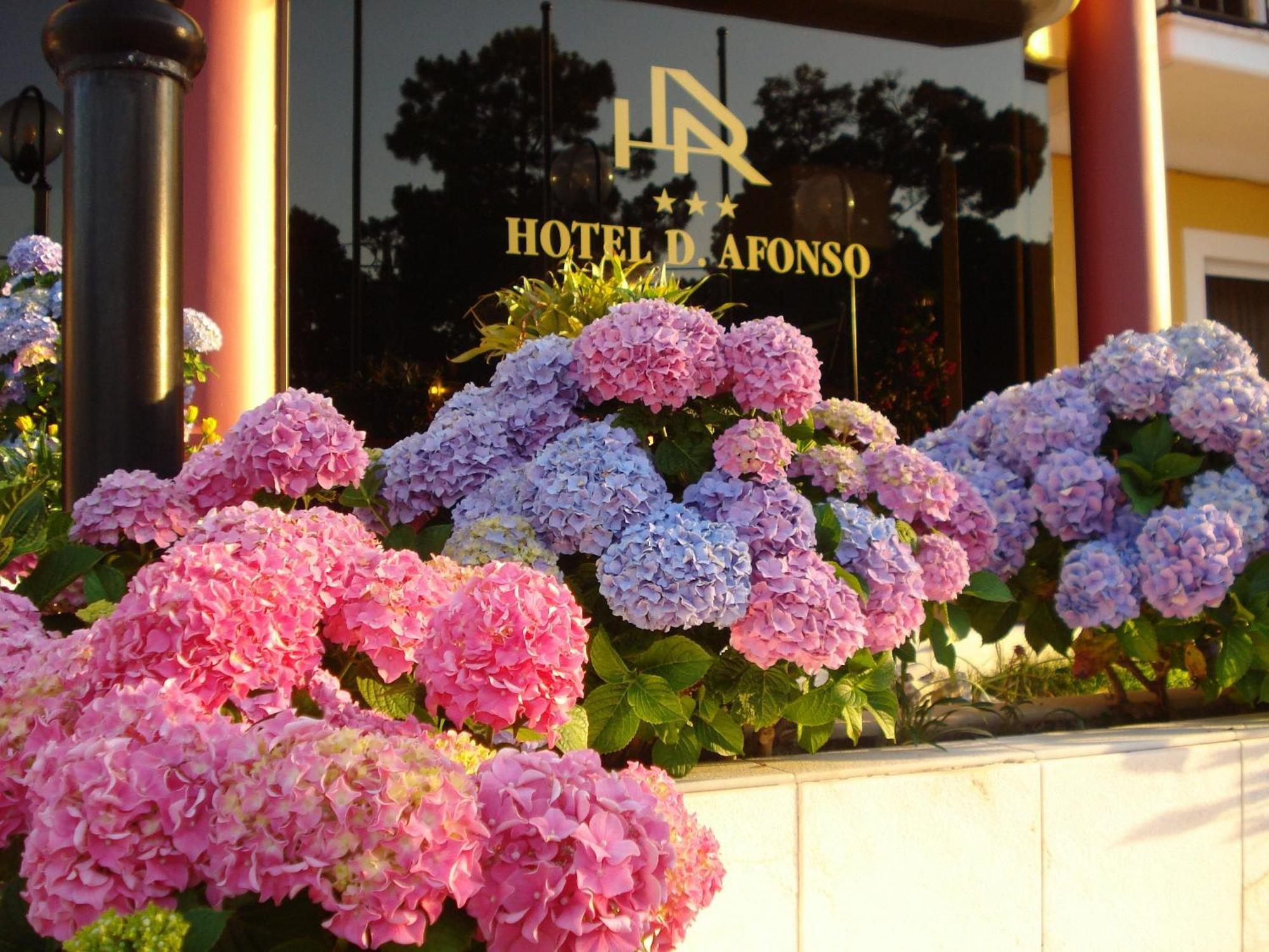 D. Afonso Hotel & Spa Monte Real Exterior foto